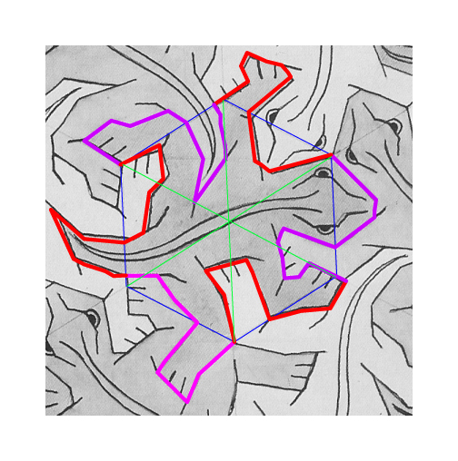 Illustration of process of producing geometrically rigorous Escher lizard.  Green lines show center of Escher's hexagonal cell, blue lines show perfect hexagon on same center, pink lines show traced profile elements, and red lines show rotations of the traced elements about the hexagon's vertices.  Note significant deviation of rotated elements from original art.